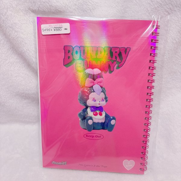 画像2: ノート_Boundary Bunny
