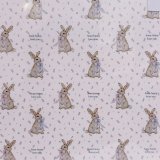 some bunny A4ロール紙