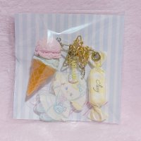 Bag　charm