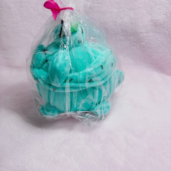 画像4: チョコミントホイプ―