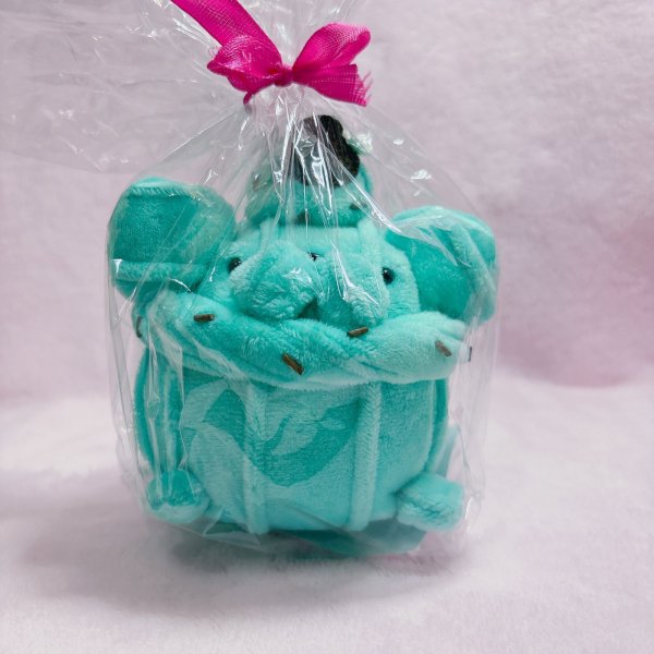 画像2: チョコミントホイプ―