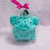 チョコミントホイプ―