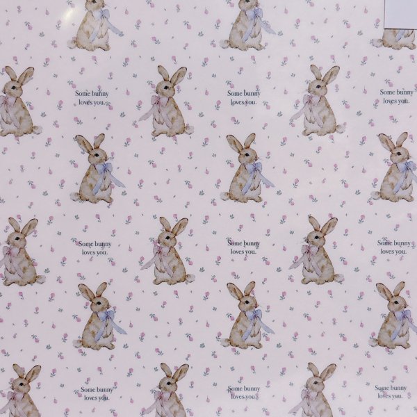 画像1: some bunny A4ロール紙 (1)