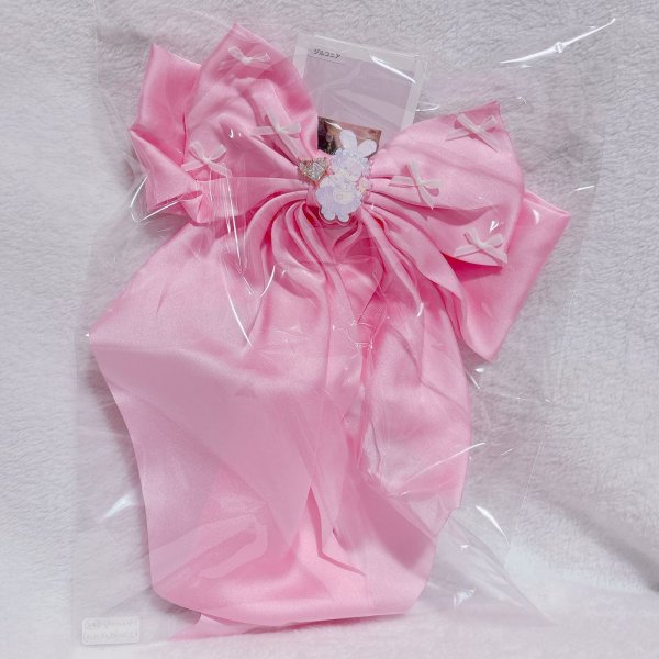 画像1: コラボ　ヘアクリップ (1)