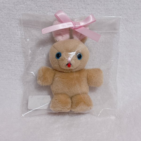 画像1: ちびうさぎさんぬいぐるみ(ミルクティ色） (1)
